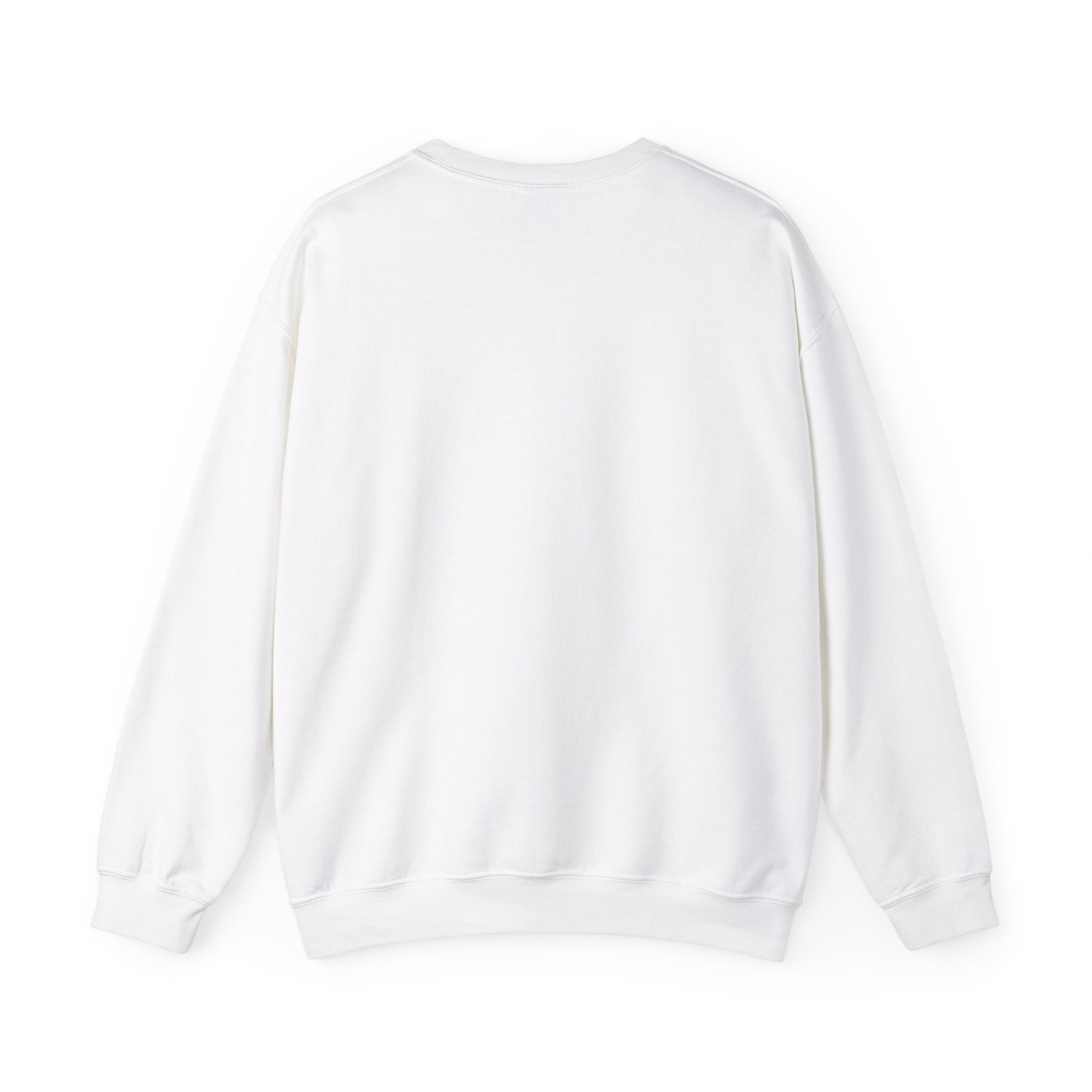 "Crack This! Not Drugs" Bible Crewneck