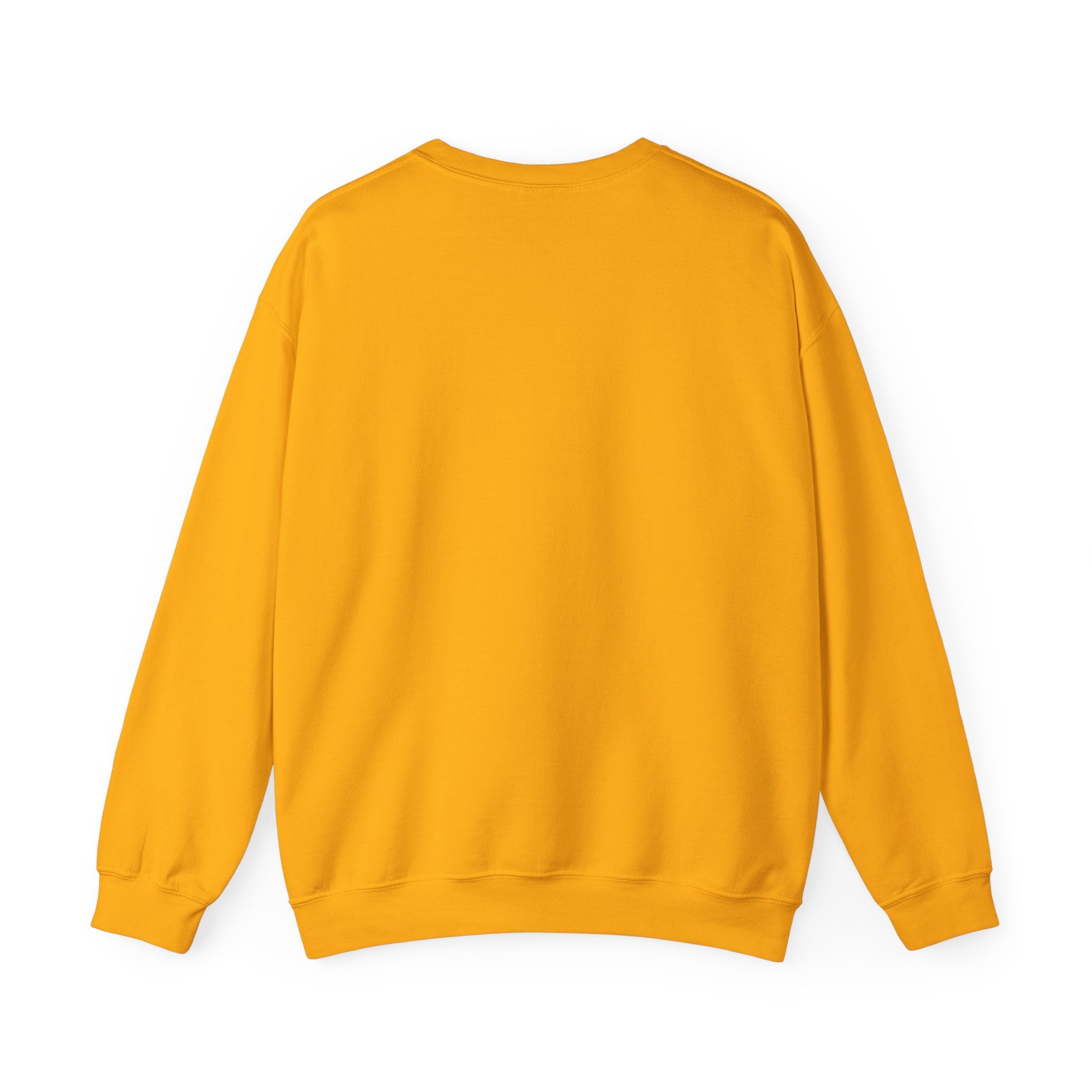 "Crack This! Not Drugs" Bible Crewneck